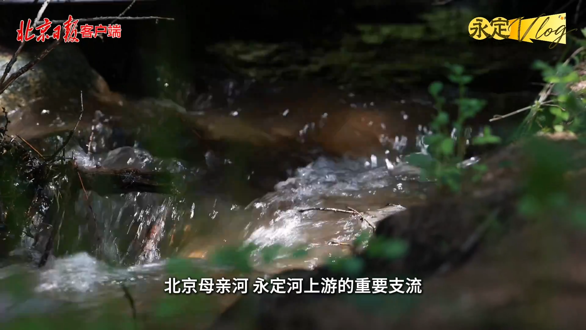 【千年永定】永定vlog｜伟德国际1949官网的“绿色引擎”，竟藏在内蒙古这座山里？？？